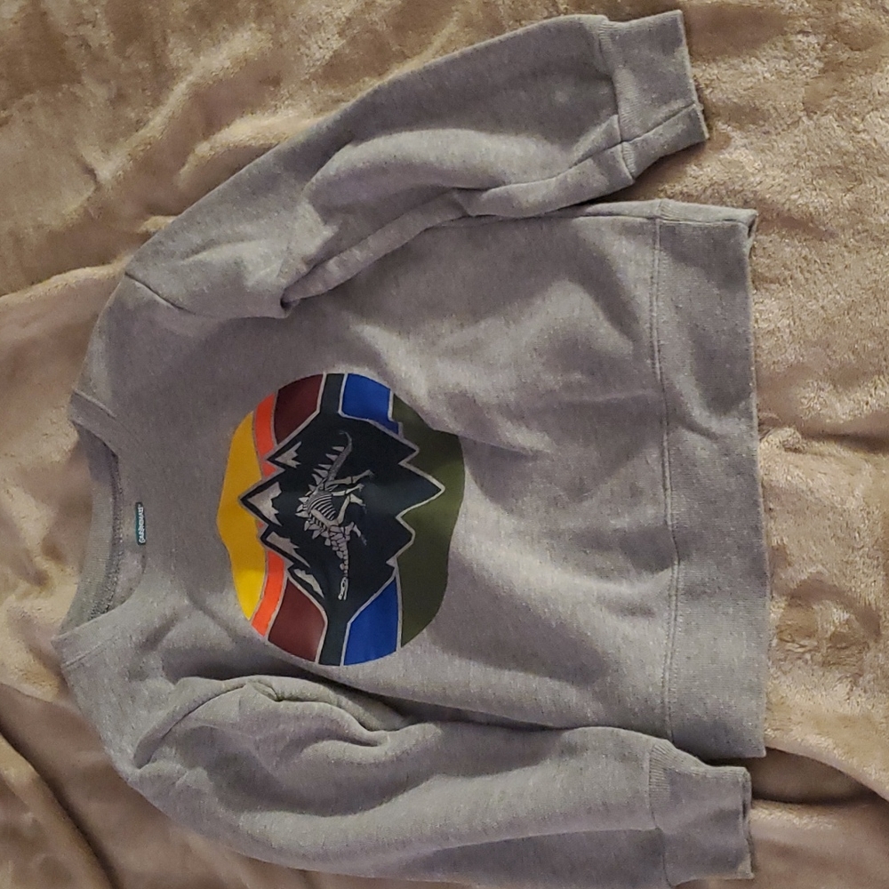 Boys dino sweatshirt